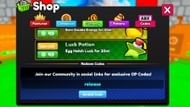 The "Invalid Code" error in Anime Training Evolution (Image via Roblox)